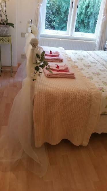 B&B Romantic Rooms Central Хаарлем Екстериор снимка